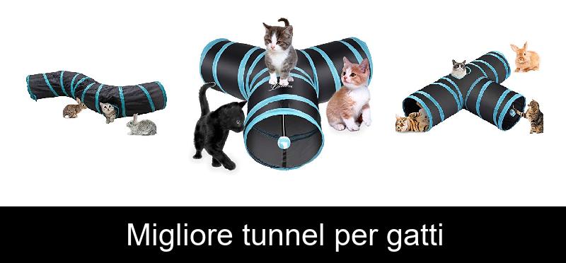 Migliore tunnel per gatti