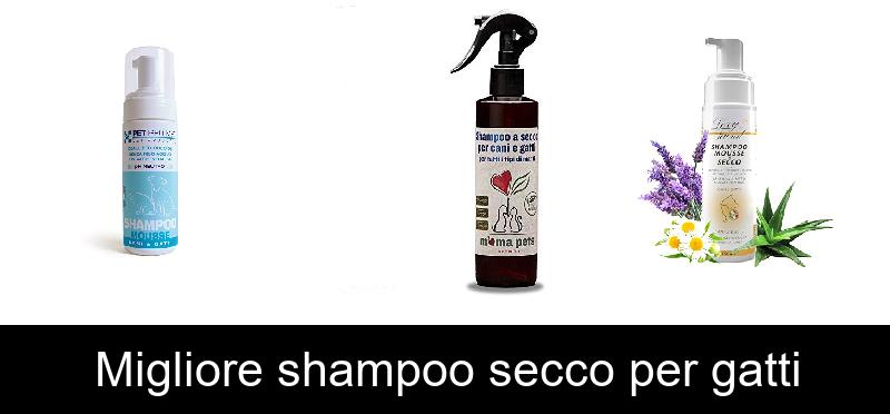 Migliore shampoo secco per gatti