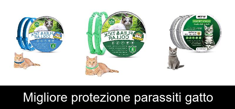 Migliore protezione parassiti gatto