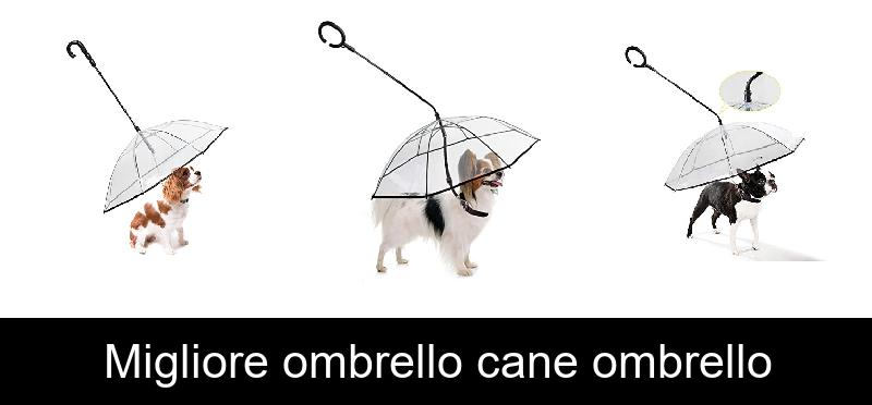 recensione Migliore ombrello cane ombrello
