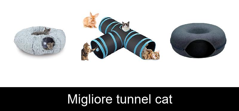 recensione Migliore tunnel cat